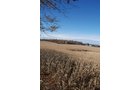 Property photo 4 - 117 Acres Offered in 6 Tracts
