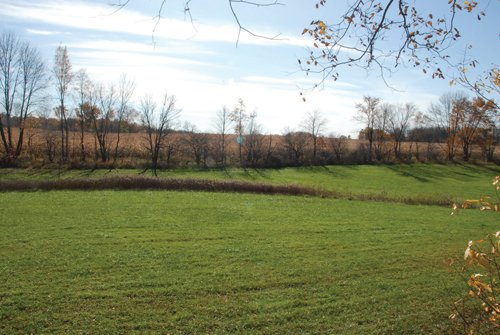 Property photo 41 - 117 Acres Offered in 6 Tracts
