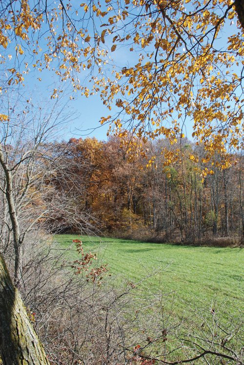 Property photo 35 - 117 Acres Offered in 6 Tracts
