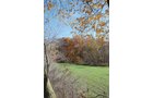 Property photo 35 - 117 Acres Offered in 6 Tracts

