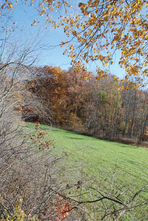 Property photo 51 - 117 Acres Offered in 6 Tracts
