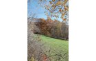 Property photo 51 - 117 Acres Offered in 6 Tracts
