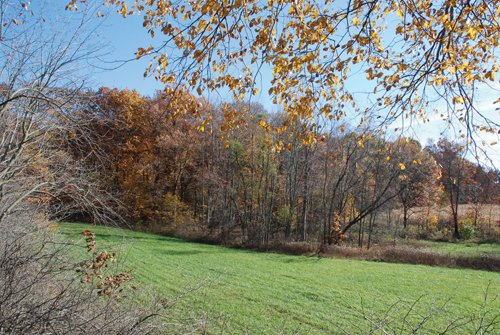 Property photo 62 - 117 Acres Offered in 6 Tracts
