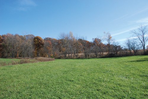 Property photo 58 - 117 Acres Offered in 6 Tracts
