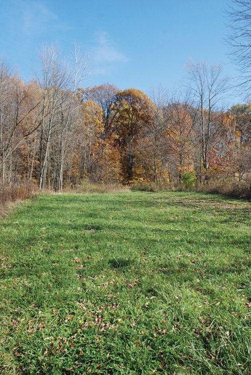 Property photo 21 - 117 Acres Offered in 6 Tracts
