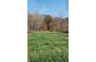 Property photo 21 - 117 Acres Offered in 6 Tracts
