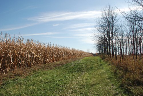 Property photo 36 - 117 Acres Offered in 6 Tracts
