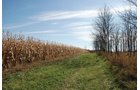Property photo 36 - 117 Acres Offered in 6 Tracts
