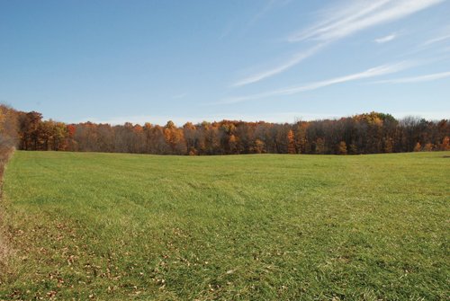 Property photo 86 - 117 Acres Offered in 6 Tracts
