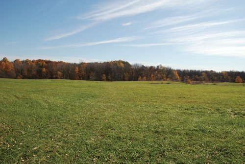 Property photo 45 - 117 Acres Offered in 6 Tracts
