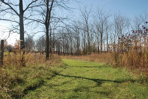 Property photo 67 - 117 Acres Offered in 6 Tracts
