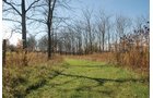 Property photo 67 - 117 Acres Offered in 6 Tracts
