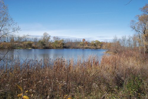 Property photo 18 - 117 Acres Offered in 6 Tracts
