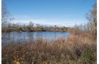 Property photo 18 - 117 Acres Offered in 6 Tracts
