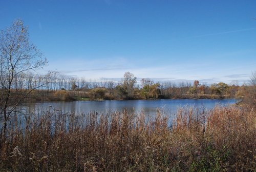 Property photo 84 - 117 Acres Offered in 6 Tracts
