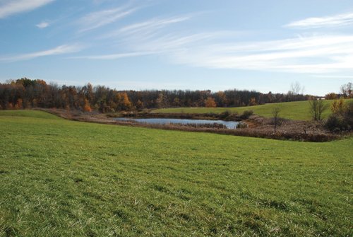 Property photo 54 - 117 Acres Offered in 6 Tracts
