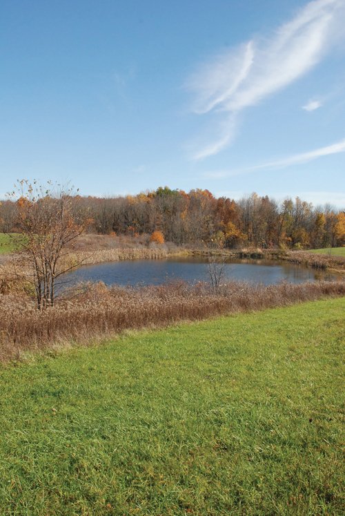 Property photo 70 - 117 Acres Offered in 6 Tracts
