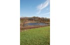 Property photo 70 - 117 Acres Offered in 6 Tracts
