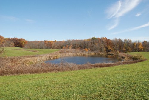 Property photo 81 - 117 Acres Offered in 6 Tracts
