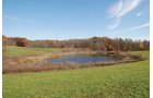 Property photo 81 - 117 Acres Offered in 6 Tracts
