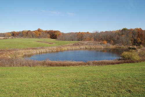 Property photo 100 - 117 Acres Offered in 6 Tracts
