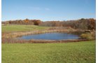 Property photo 100 - 117 Acres Offered in 6 Tracts
