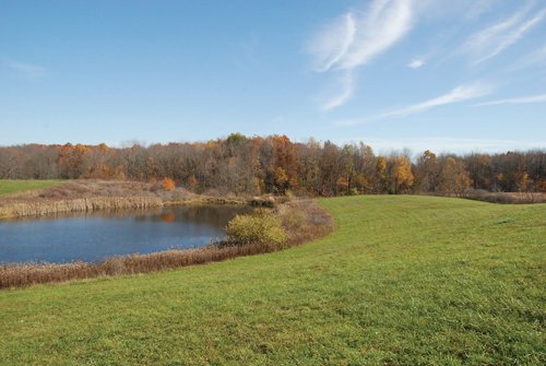 Property photo 6 - 117 Acres Offered in 6 Tracts
