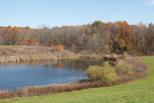 Property photo 69 - 117 Acres Offered in 6 Tracts
