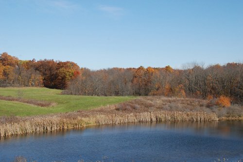 Property photo 30 - 117 Acres Offered in 6 Tracts
