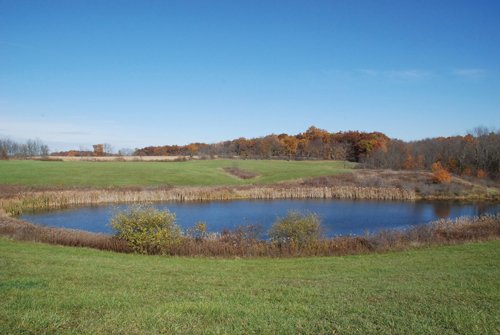 Property photo 47 - 117 Acres Offered in 6 Tracts
