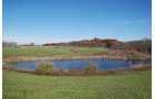 Property photo 47 - 117 Acres Offered in 6 Tracts
