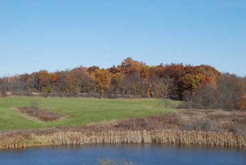 Property photo 3 - 117 Acres Offered in 6 Tracts

