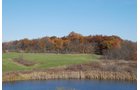 Property photo 3 - 117 Acres Offered in 6 Tracts
