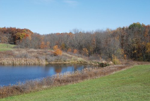 Property photo 25 - 117 Acres Offered in 6 Tracts
