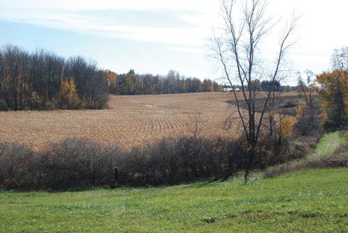 Property photo 37 - 117 Acres Offered in 6 Tracts
