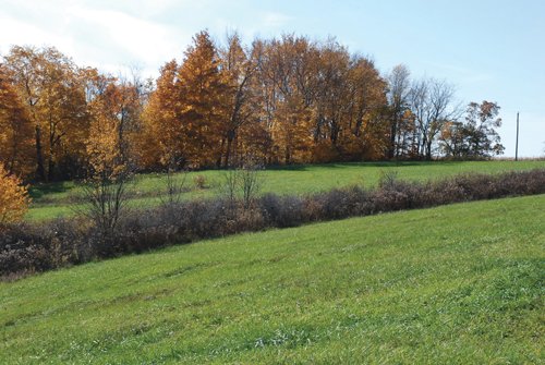 Property photo 23 - 117 Acres Offered in 6 Tracts
