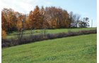 Property photo 23 - 117 Acres Offered in 6 Tracts
