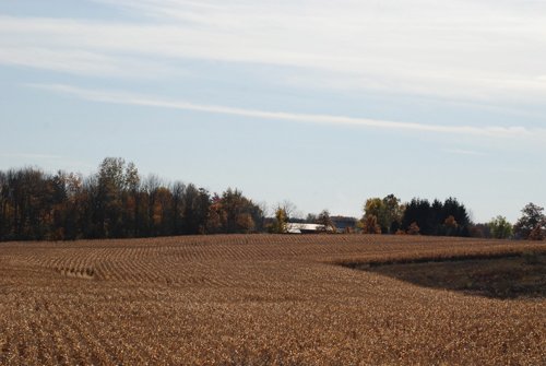 Property photo 78 - 117 Acres Offered in 6 Tracts
