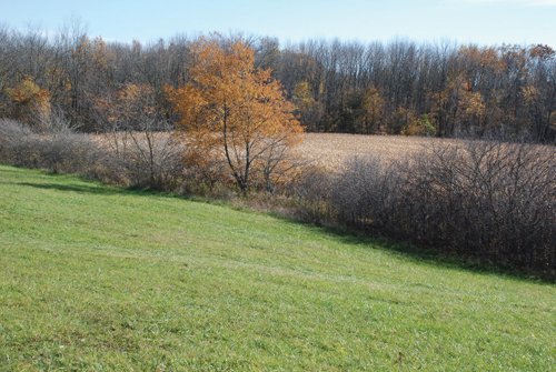 Property photo 19 - 117 Acres Offered in 6 Tracts

