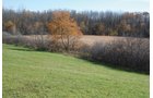 Property photo 19 - 117 Acres Offered in 6 Tracts
