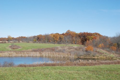 Property photo 20 - 117 Acres Offered in 6 Tracts

