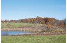 Property photo 20 - 117 Acres Offered in 6 Tracts
