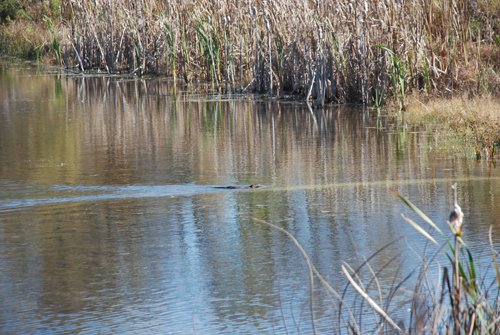 Property photo 60 - 117 Acres Offered in 6 Tracts
