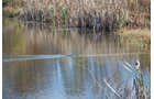 Property photo 60 - 117 Acres Offered in 6 Tracts
