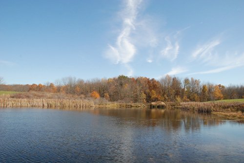 Property photo 80 - 117 Acres Offered in 6 Tracts
