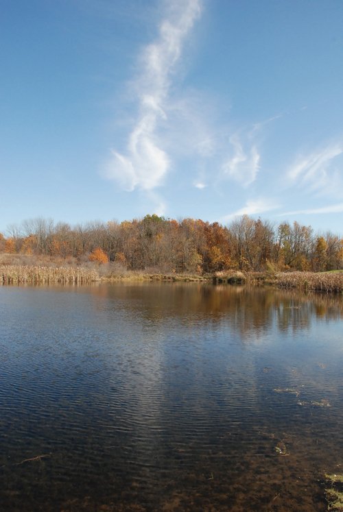 Property photo 99 - 117 Acres Offered in 6 Tracts
