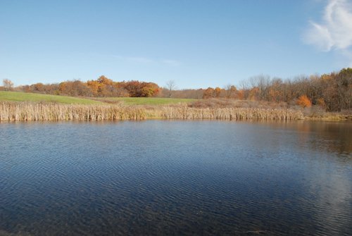 Property photo 29 - 117 Acres Offered in 6 Tracts
