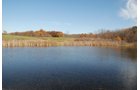Property photo 29 - 117 Acres Offered in 6 Tracts
