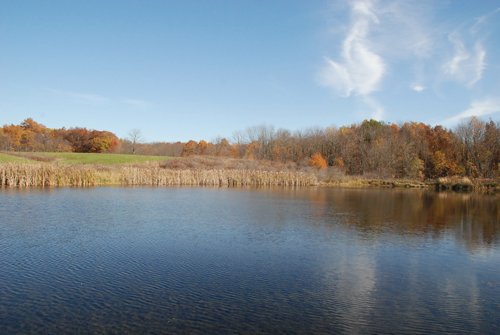 Property photo 39 - 117 Acres Offered in 6 Tracts
