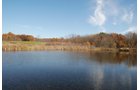 Property photo 39 - 117 Acres Offered in 6 Tracts
